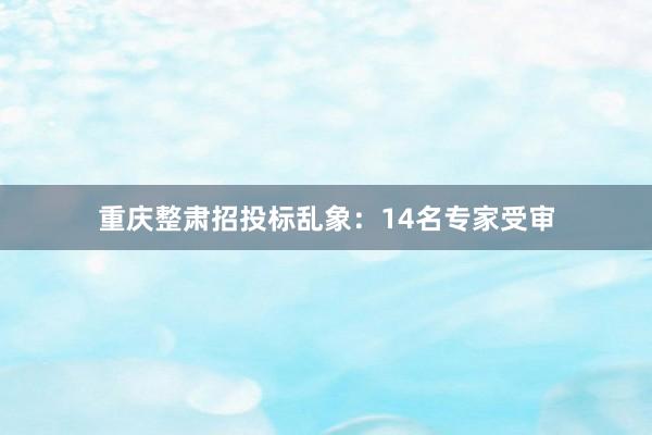 重庆整肃招投标乱象：14名专家受审