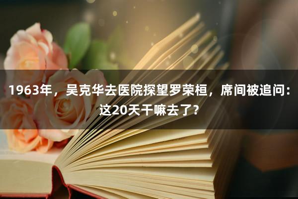 1963年，吴克华去医院探望罗荣桓，席间被追问：这20天干嘛去了？