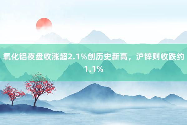 氧化铝夜盘收涨超2.1%创历史新高，沪锌则收跌约1.1%