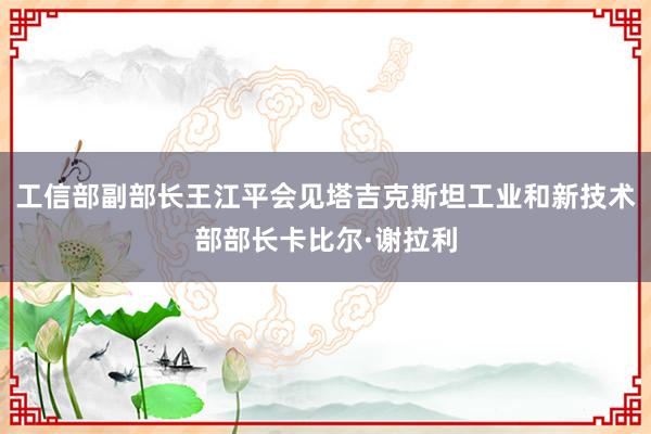 工信部副部长王江平会见塔吉克斯坦工业和新技术部部长卡比尔·谢拉利