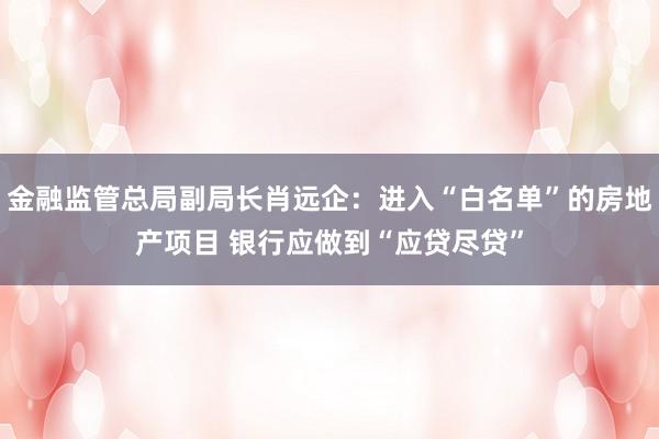 金融监管总局副局长肖远企：进入“白名单”的房地产项目 银行应做到“应贷尽贷”