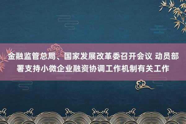 金融监管总局、国家发展改革委召开会议 动员部署支持小微企业融资协调工作机制有关工作