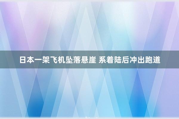 日本一架飞机坠落悬崖 系着陆后冲出跑道