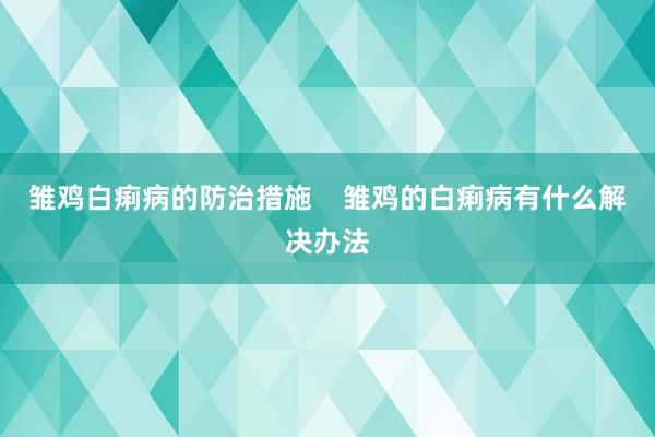 雏鸡白痢病的防治措施    雏鸡的白痢病有什么解决办法