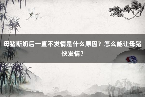 母猪断奶后一直不发情是什么原因？怎么能让母猪快发情？