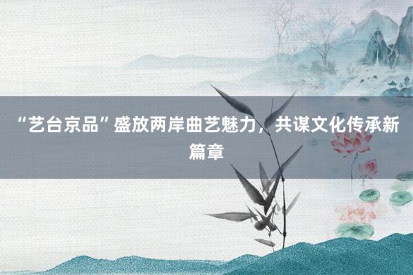 “艺台京品”盛放两岸曲艺魅力，共谋文化传承新篇章