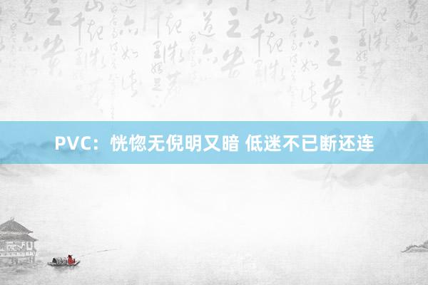 PVC：恍惚无倪明又暗 低迷不已断还连