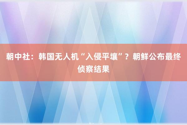 朝中社：韩国无人机“入侵平壤”？朝鲜公布最终侦察结果