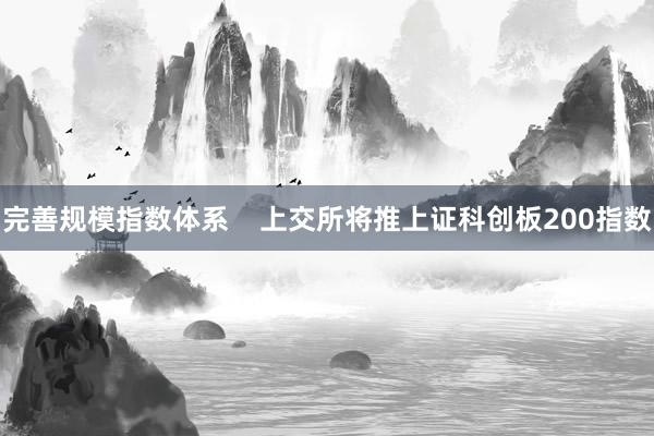 完善规模指数体系    上交所将推上证科创板200指数