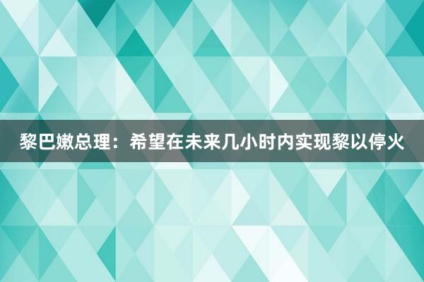 黎巴嫩总理：希望在未来几小时内实现黎以停火