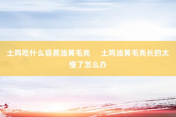 土鸡吃什么容易油黄毛亮     土鸡油黄毛亮长的太慢了怎么办